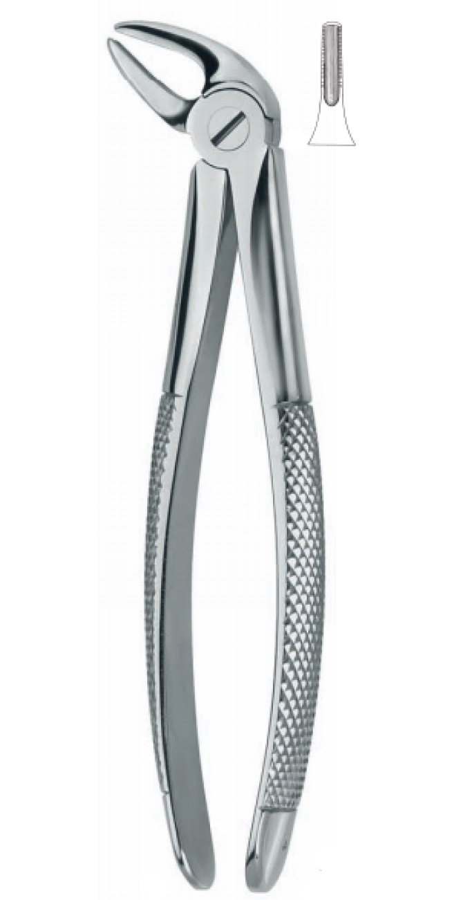 Extracting Forceps , Material: stainless steel