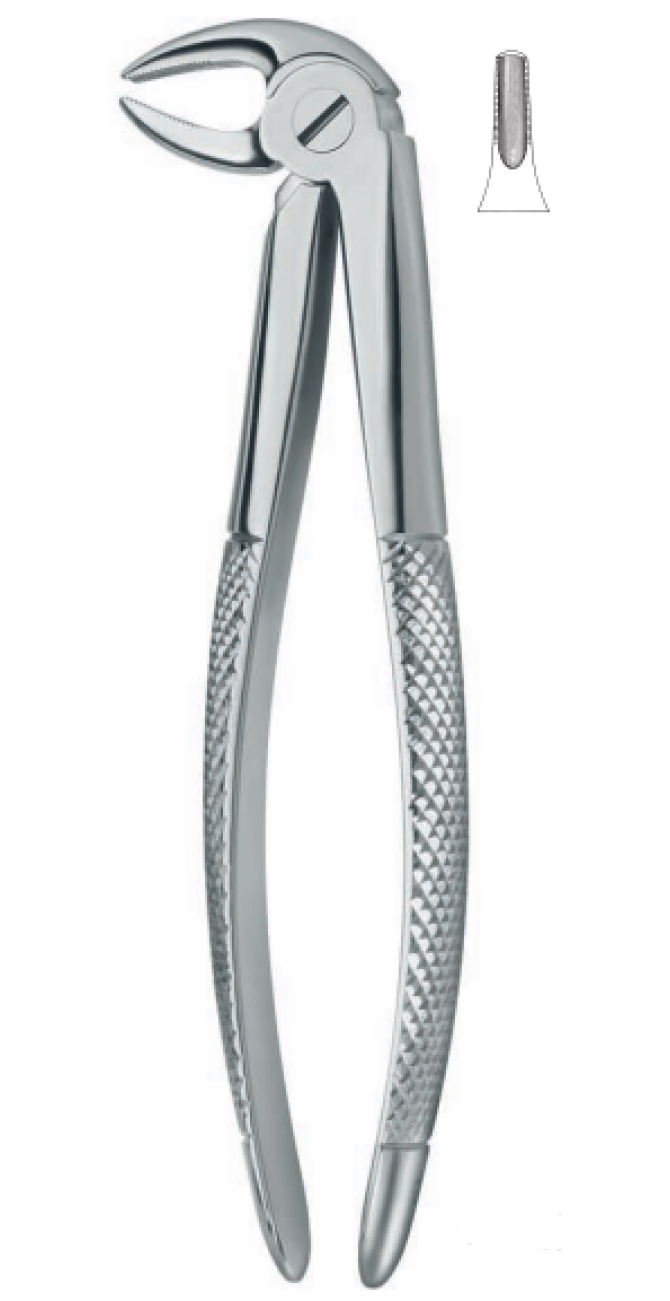 Extracting Forceps , lower bicuspids