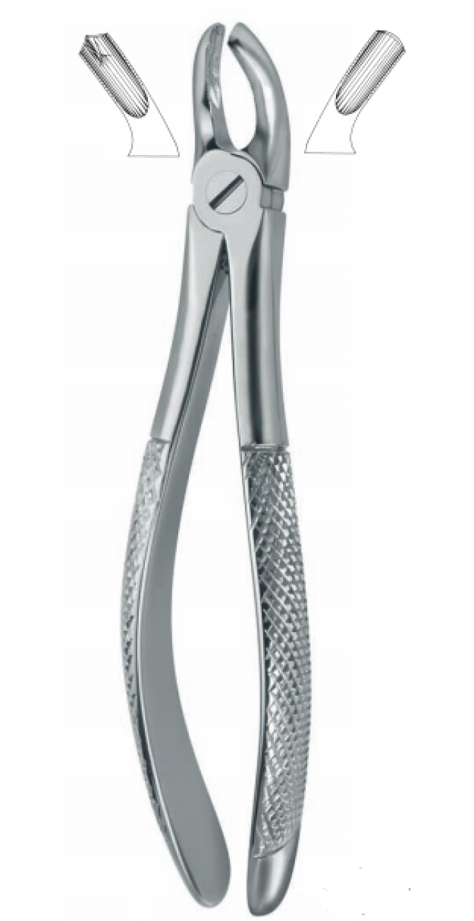 Extracting Forceps , upper molars, right