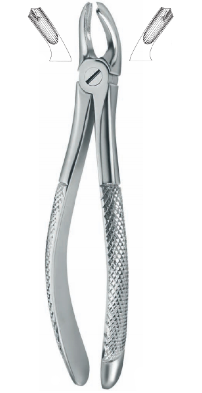 Extracting Forceps , upper molars