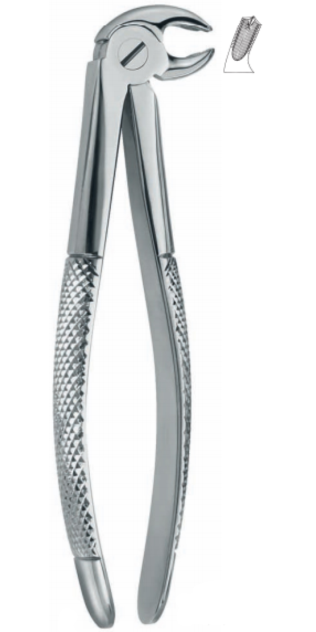 Extracting Forceps , right lower molars