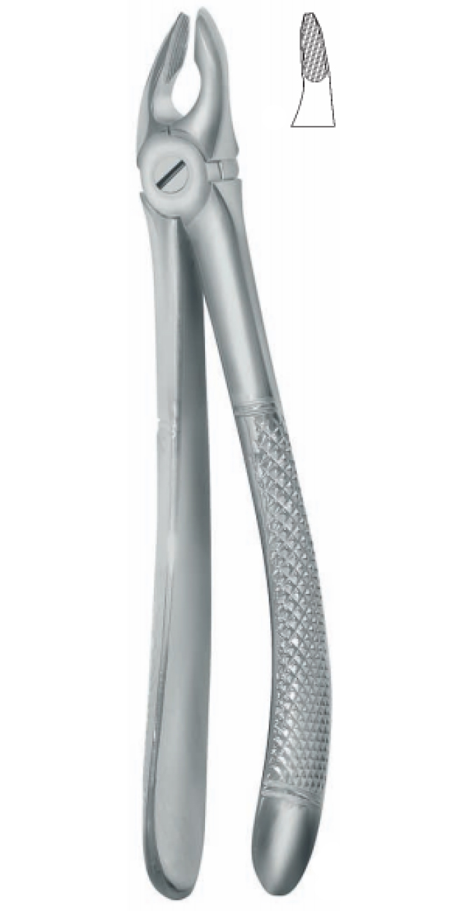 Extracting Forceps , upper universal, atraumatic tips
