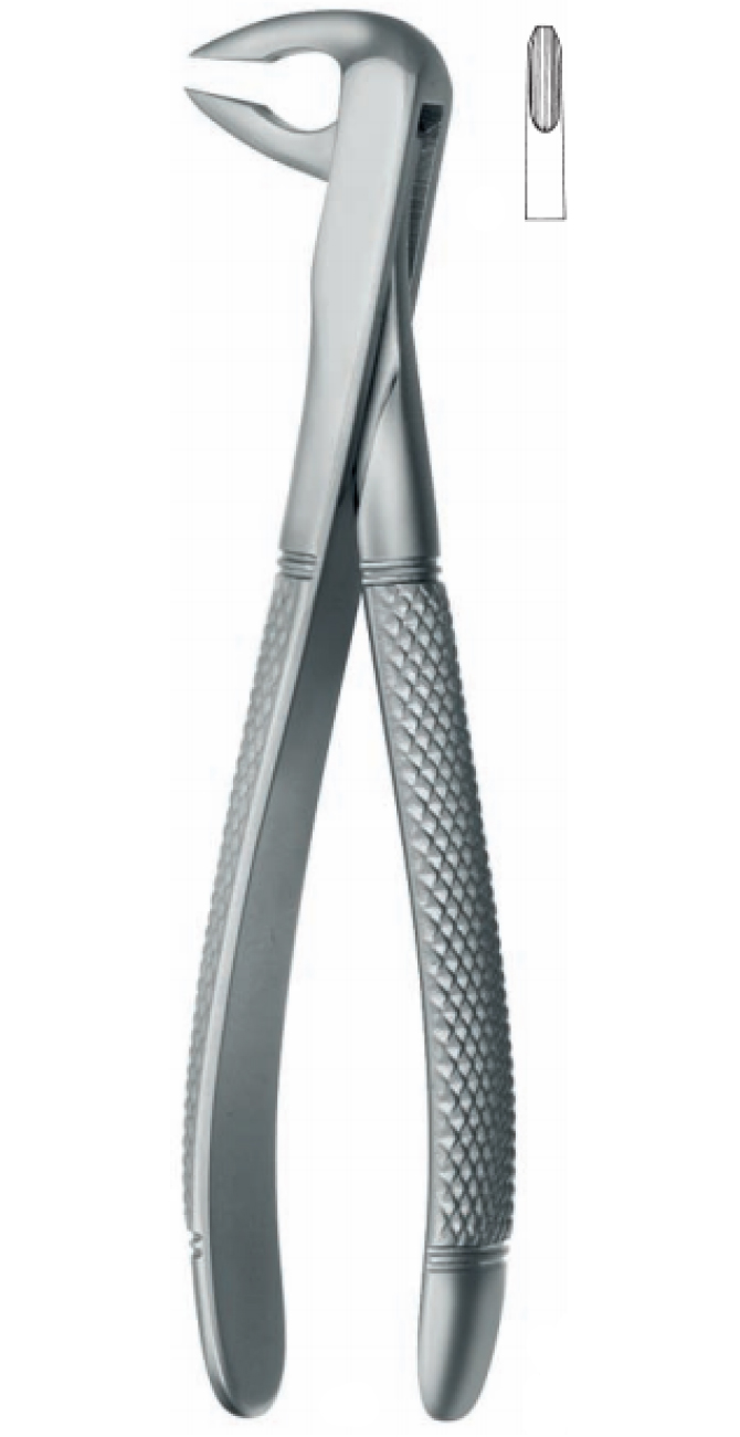 Extracting Forceps , lower incisors and cuspids, atraumatic tips