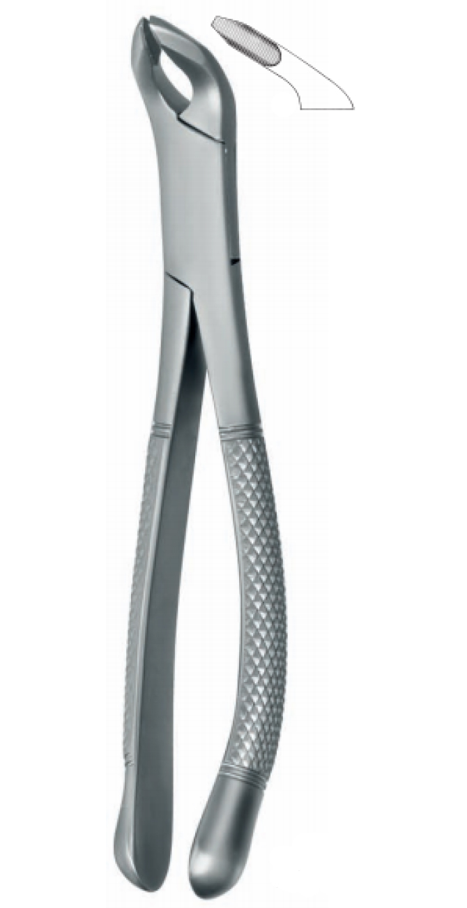 Extracting Forceps , lower universal, atraumatic tips