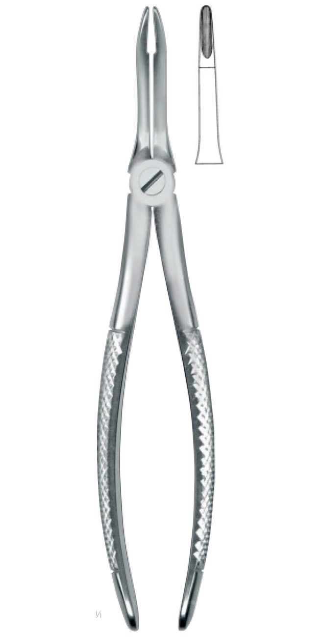 Extracting Forceps , upper roots